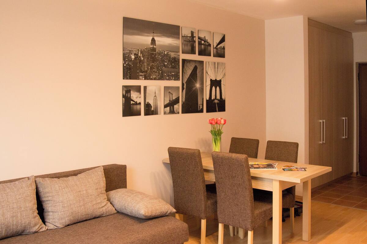 Grand Apartment | Desk, soundproofing, iron/ironing board, WiFi (free)