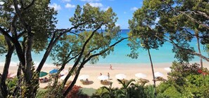 Beach - Coral Cove - Condo 11 (Paynes Bay)