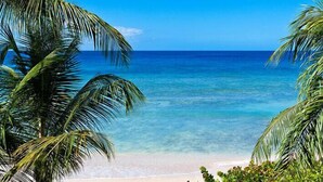Una playa con agua azul cristalina y palmeras.