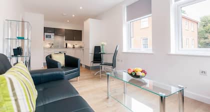 Roomspace Apartments -Swan House