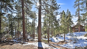 A cabin surrounded by tall pine trees with snow on the ground. - Walk to Lake: Rustic Home w/ Deck in Fawnskin (Fawnskin)