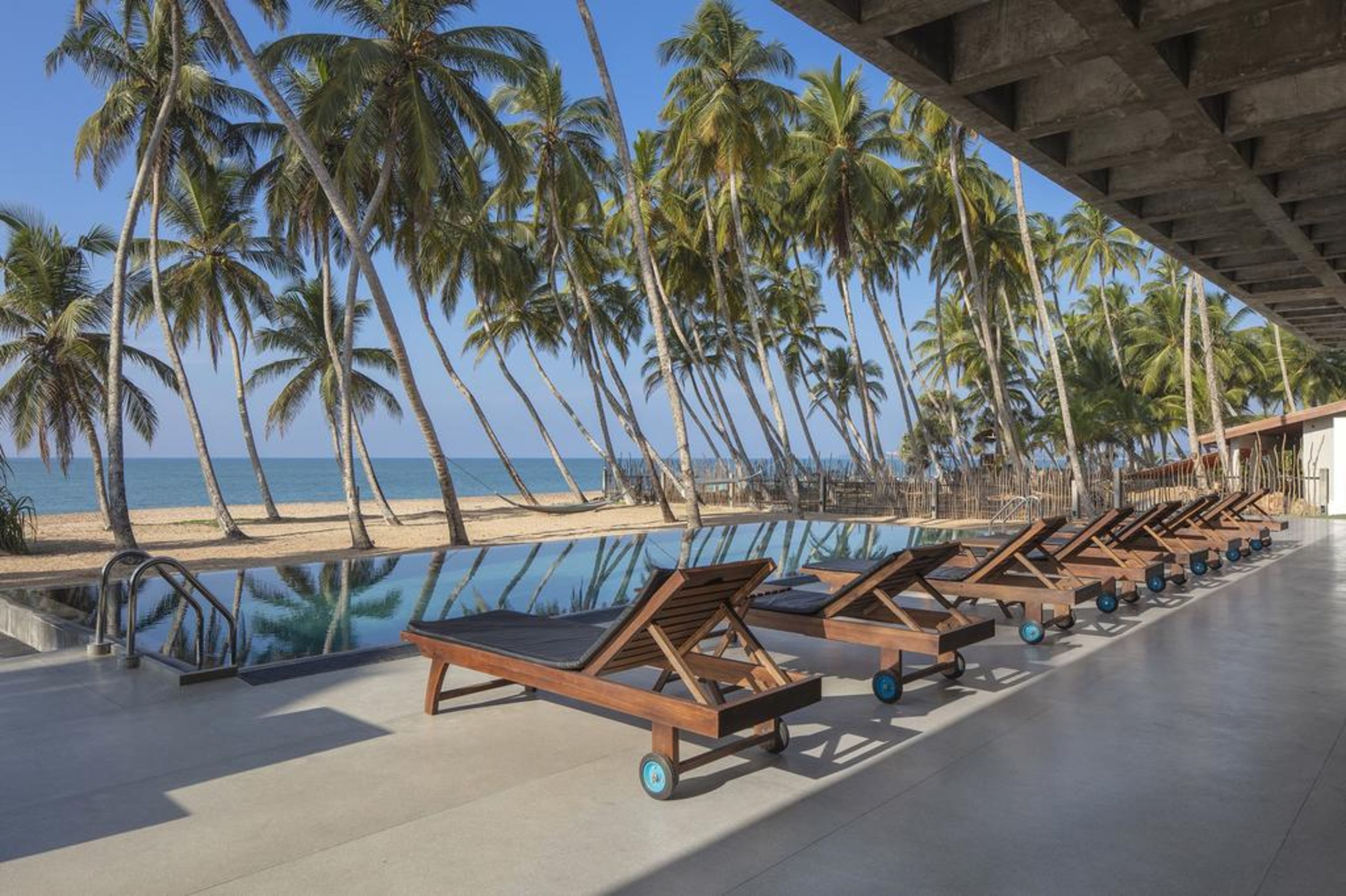 Outdoor pool, sun loungers