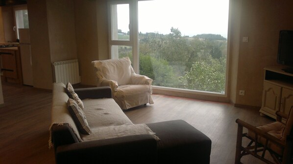 Fernseher, DVD-Player