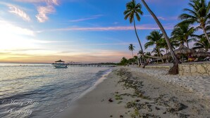 Una playa con palmeras, un muelle y un bote.