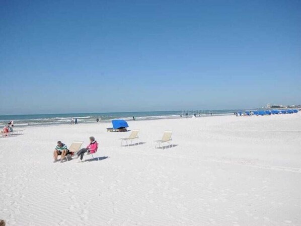 على الشاطئ