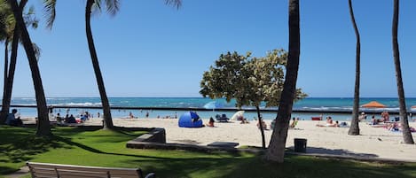Basic Apartment, 1 King Bed with Sofa bed, Accessible, Mountain View | Beach | Beach nearby