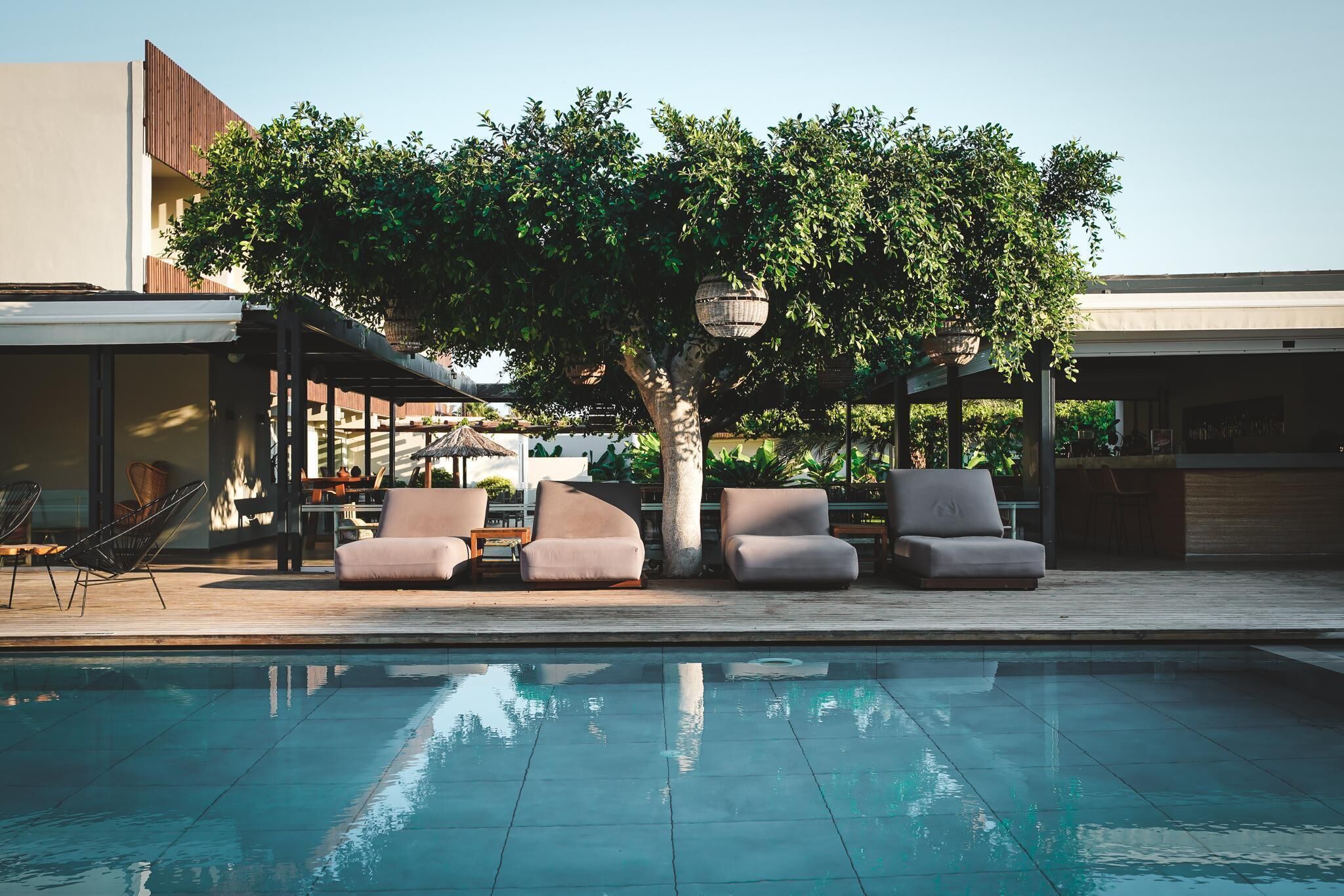 A poolside area with lounge chairs, a tree, and a modern building in the background.