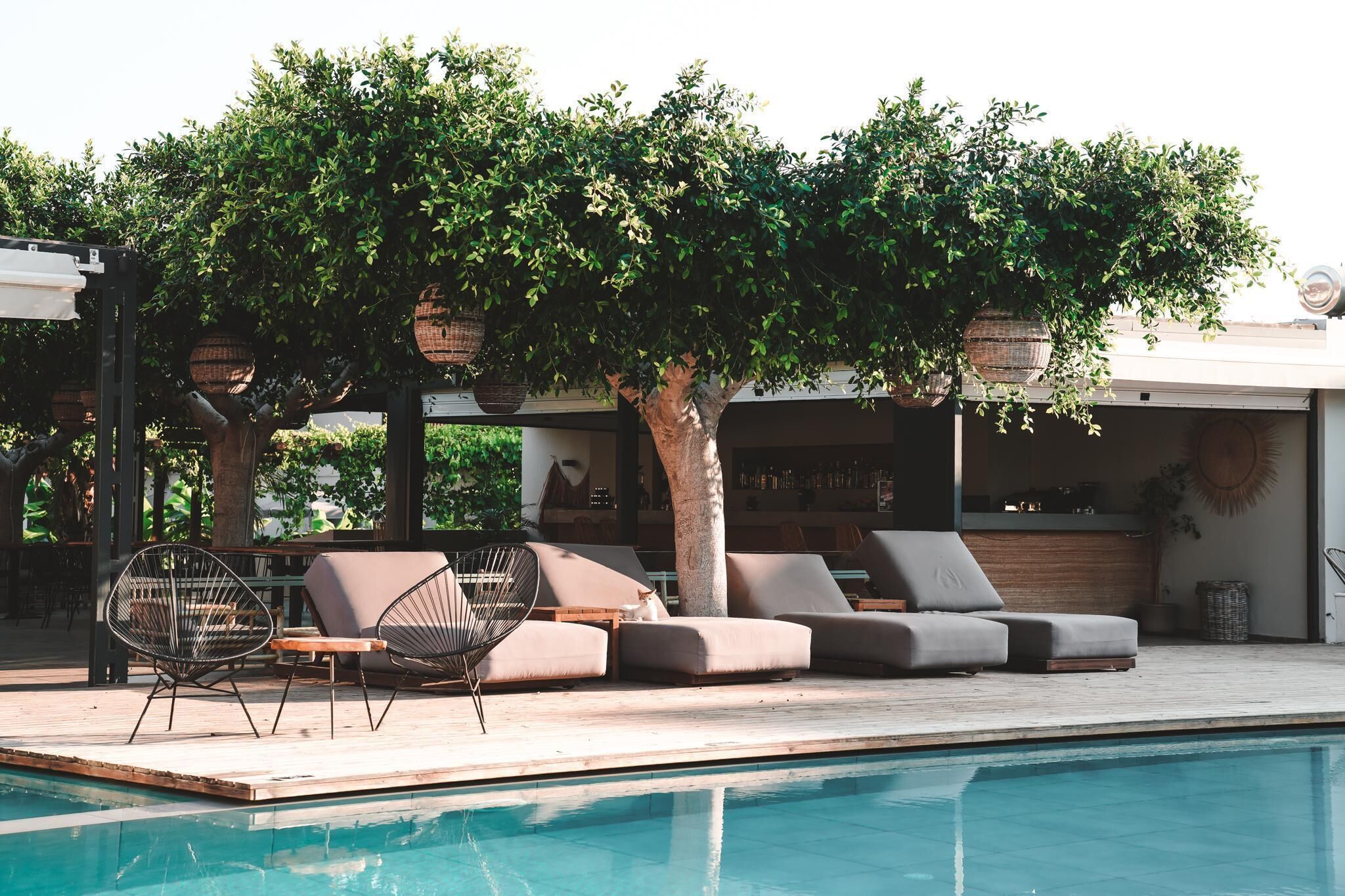 A poolside area with a sofa and chairs, a tree, and a hanging basket.