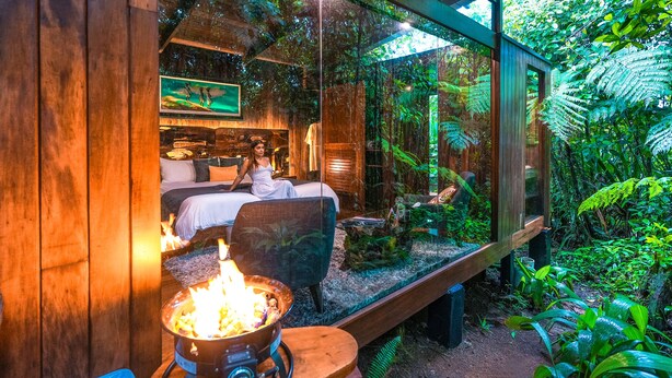 Jungle Suite
