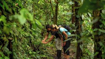 Deux personnes font de la randonnée dans une forêt dense, sur un sentier étroit.