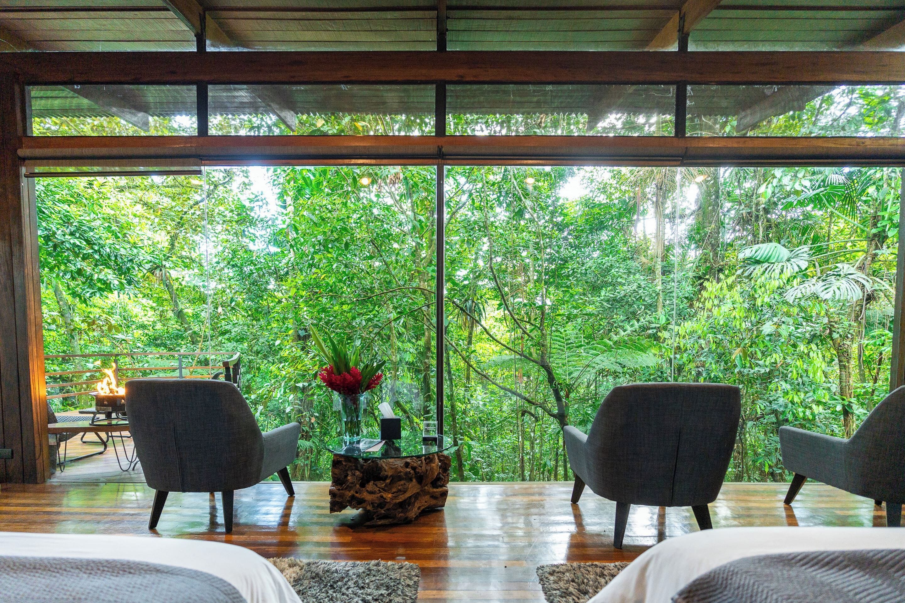 Jungle Premium Suite | Utsikt fra rommet