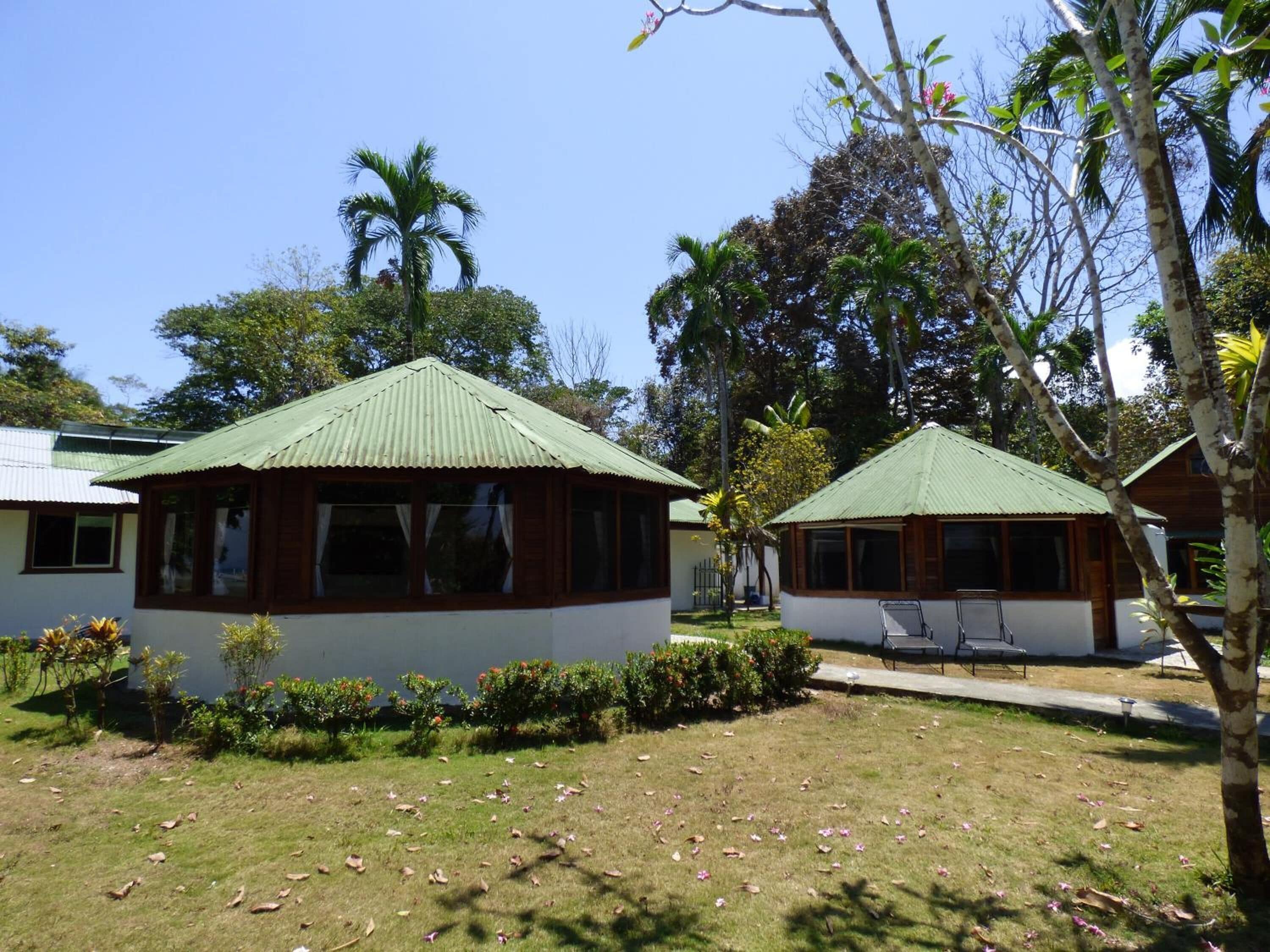 Ein bungalowähnliches Gebäude mit einem begrünten Dach, umgeben von einer grünen Fläche mit vereinzelten Blättern.