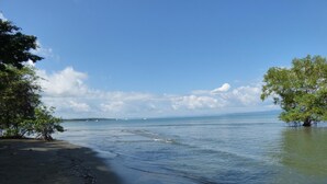 Rauhallisilla vesillä oleva ranta, kirkas taivas ja puita rannalla.