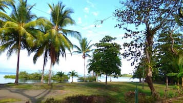 Khuôn viên nơi lưu trú