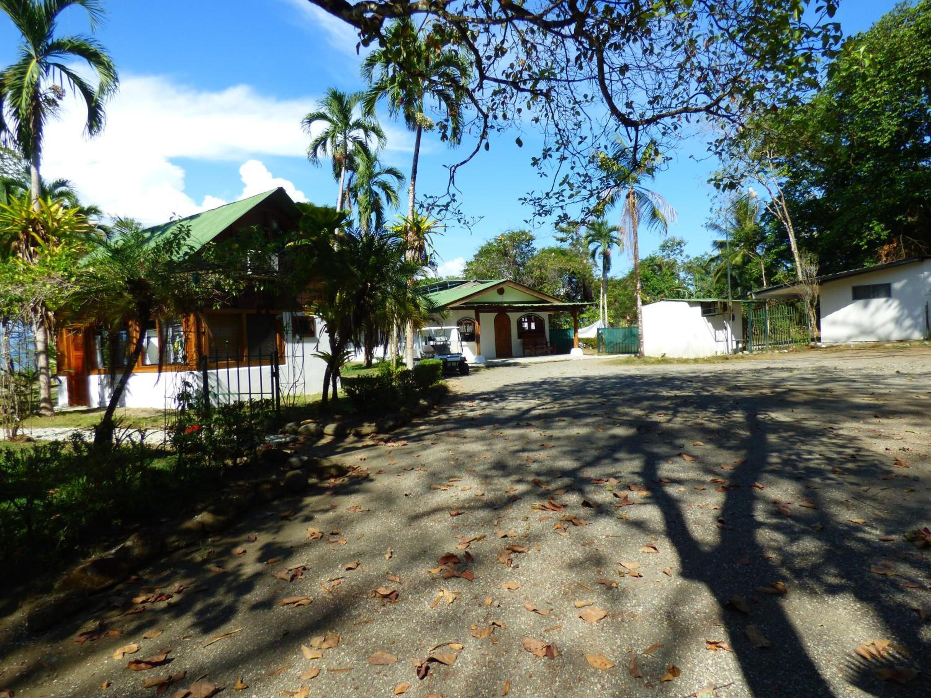 Zona residencial com uma casa com telhado verde, cercada por palmeiras e um caminho de entrada pavimentado.