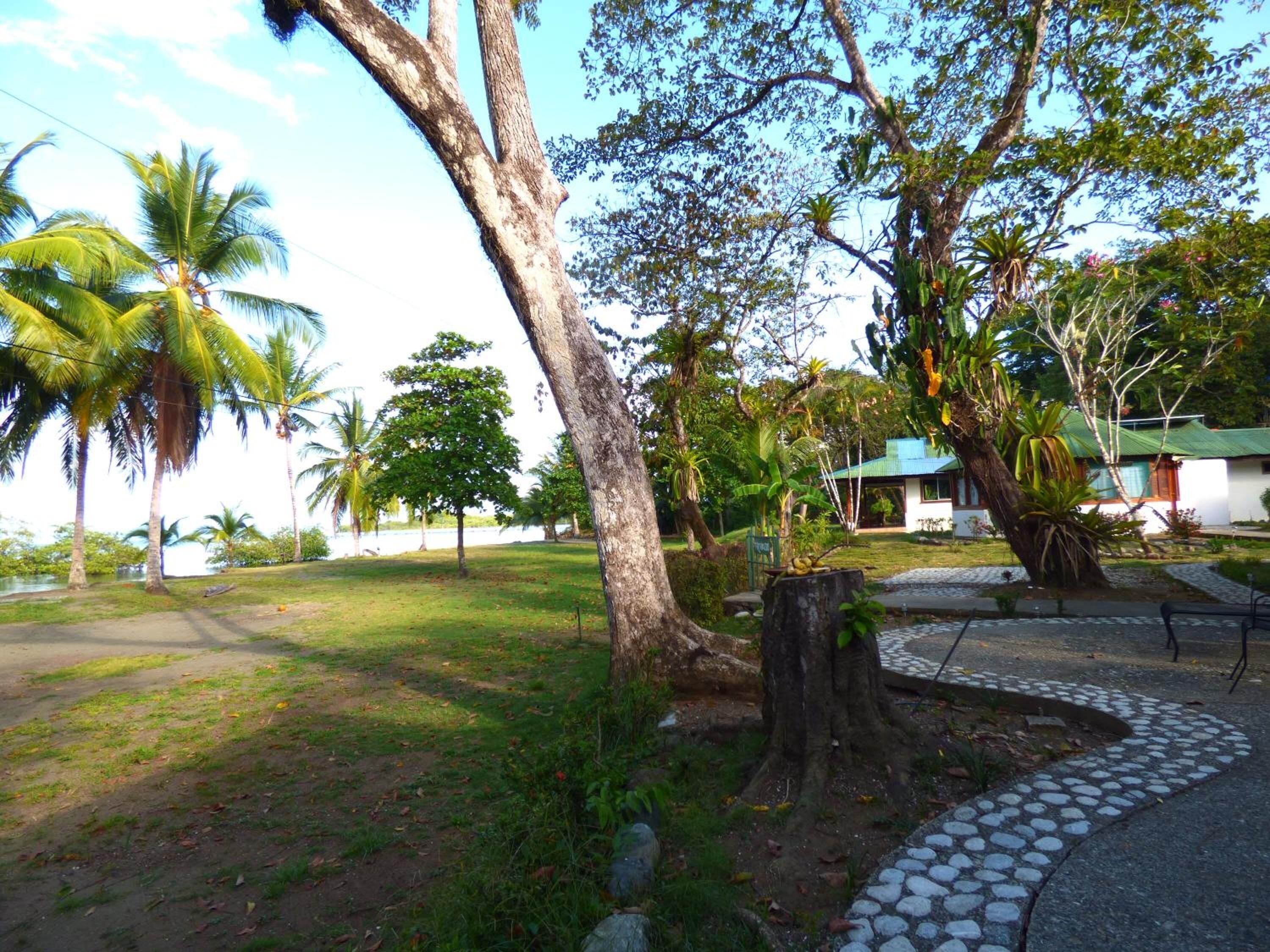 Un jardin tropical avec des palmiers, un sentier en pierre et un bâtiment doté d’un toit végétalisé.