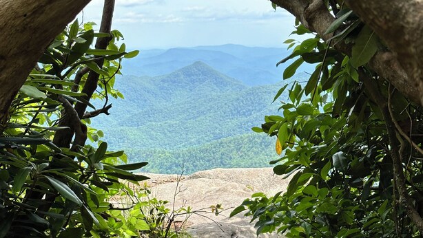 Property grounds - Creekside in the Smoky Mtns.
has a rejuvenating quality. Something we all need! (Otto)