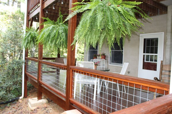 Una terraza de madera con barandilla de metal, plantas en macetas y una puerta blanca.