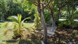 Eine Hängematze, die zwischen Bäumen in einem üppigen Garten gespannt ist, mit einer Palme und dichtem Grün im Hintergrund.