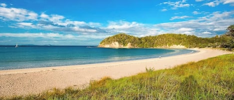 Playa en los alrededores
