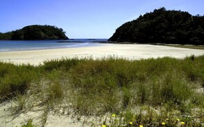 Beach nearby - Kiwi Classic - Matapouri Bay (Matapouri)