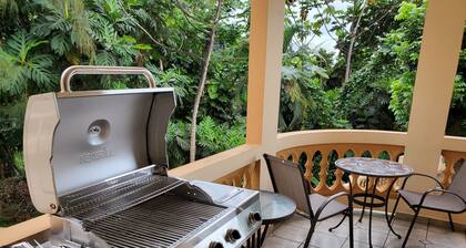7 rooms,Rainforest retreat,gated,fenced,private 2 story home, sleep 20 solar W/H