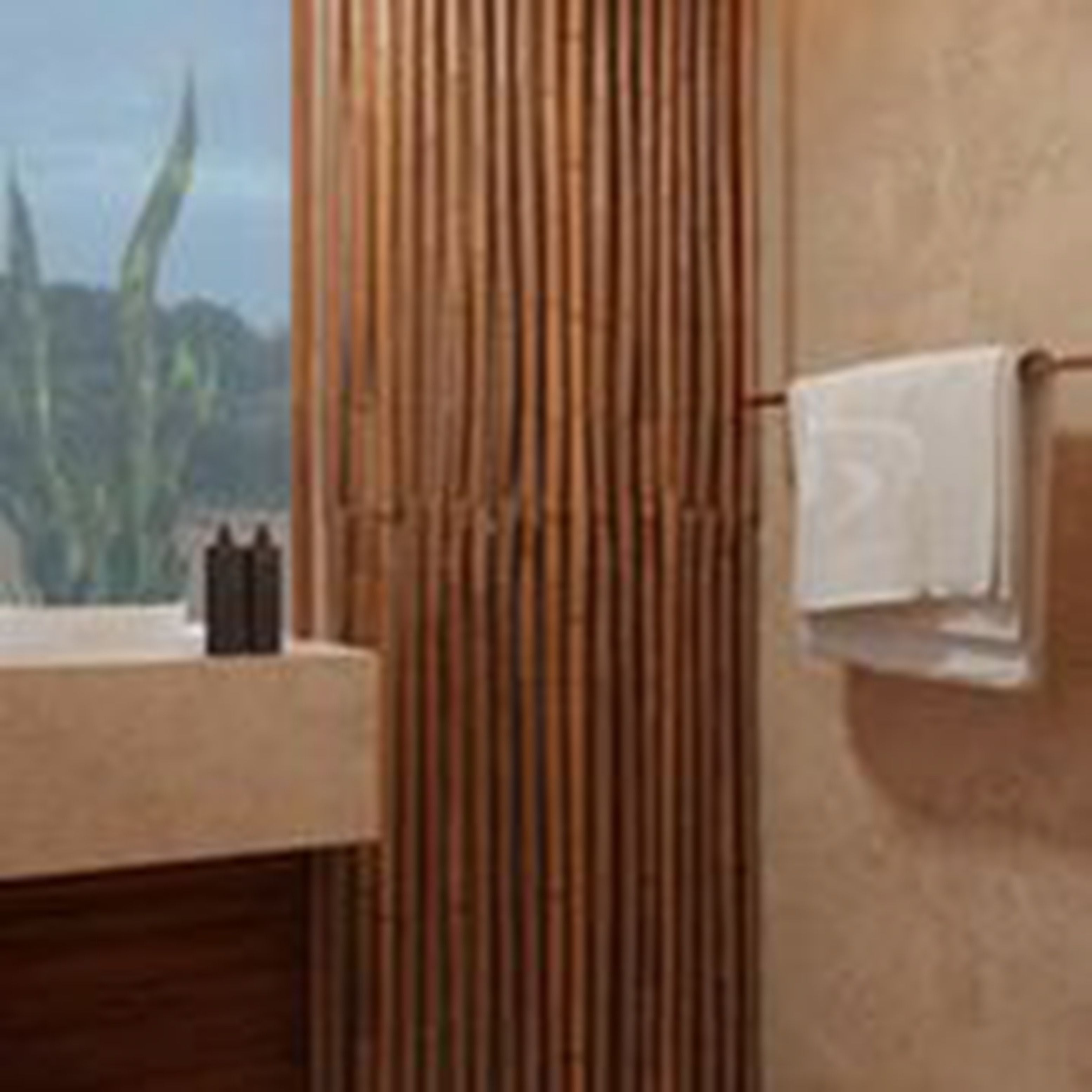 shower, free toiletries, towels