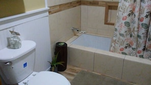 Banheira, secador de cabelo, toalhas de banho, papel higiênico