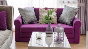 Een woonkamer met een paarse bank, een glazen salontafel en een vaas met bloemen.