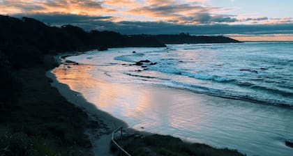 Fi s Beach House directly opposite beach and park 3 mins to dog beach!