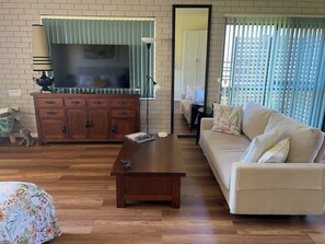 TV, Netflix, DVD player, books