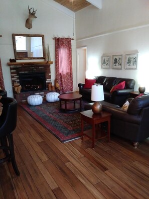 TV, fireplace, books