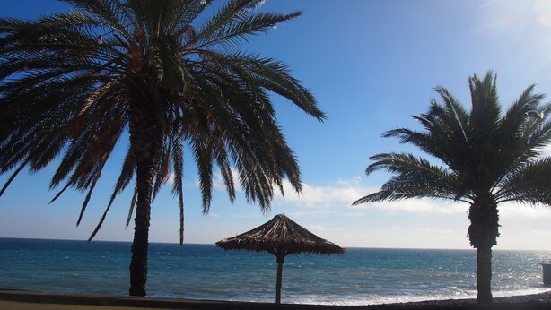 A beach with palm trees and a thatched umbrella. - House / Villa - Santa Cruz (Santa Cruz)