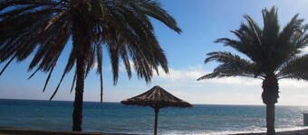 House / Villa - Santa Cruz