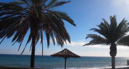 Andorinhasđïž, Appartement+studio rez-de-jardin, dans Grande Maison de caractĂšre