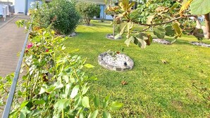 A modern two-story building with a balcony, surrounded by a well-maintained garden with various plants and a stone pathway. - House / Villa - Santa Cruz (Santa Cruz)