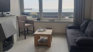 TV, fireplace, DVD player