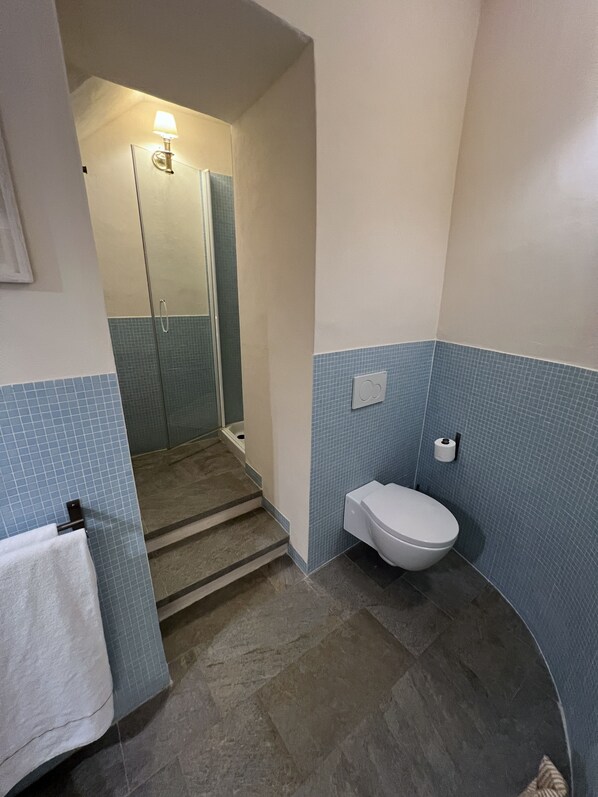 A bathroom with a toilet, a towel rack, a shower with a glass door, and a wall-mounted light fixture. - House with garden in the historical center House with character. (Capoliveri)