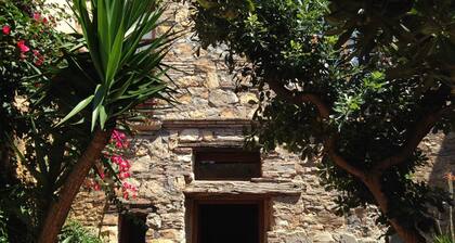 House with garden in the historical center House with character.