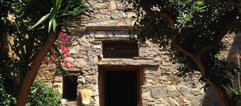 House with garden in the historical center House with character.