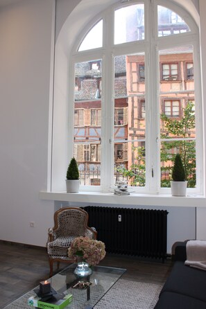 Interior - Inside the beautiful historic center of Strasbourg duplex loft (Strasbourg)