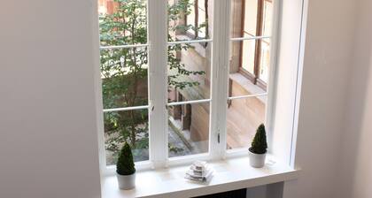 Inside the beautiful historic center of Strasbourg duplex loft