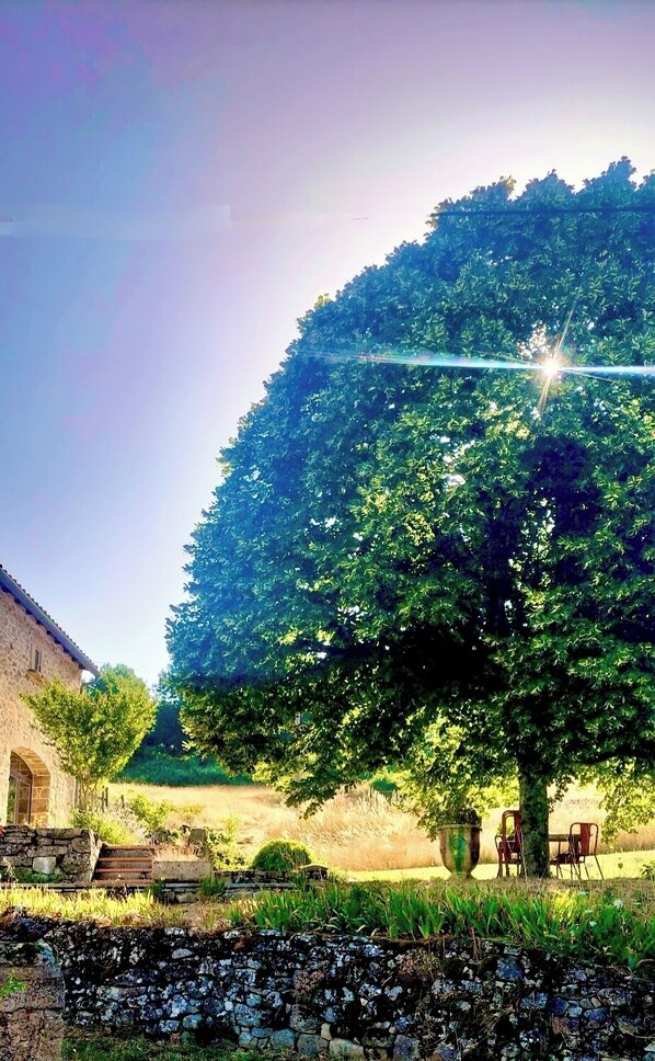Property grounds - Country holiday home - ALZON (Alzon)