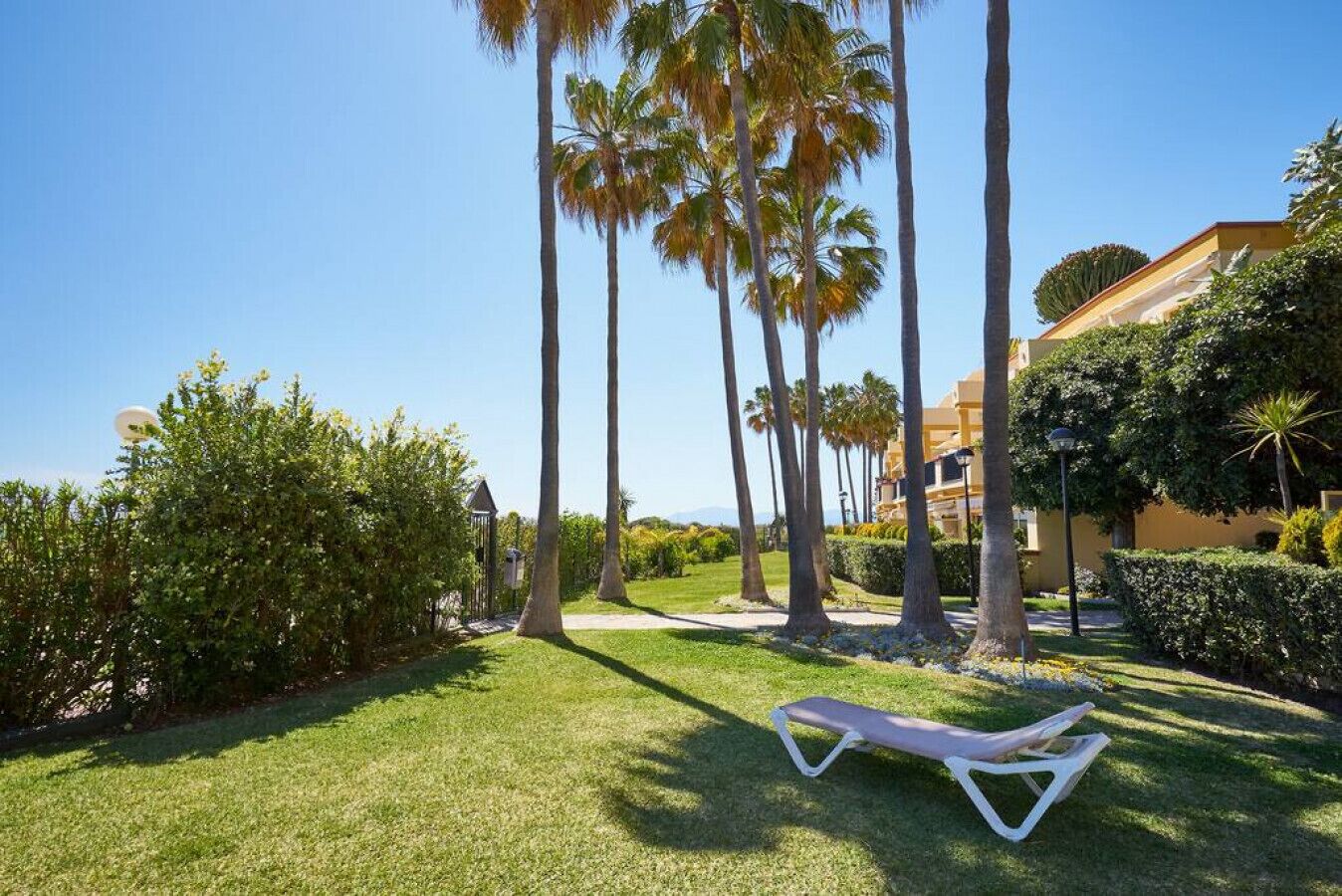 A well-maintained outdoor area with a lawn, palm trees, and a lounge chair.