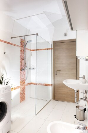 Combined shower/tub, hair dryer, bidet, towels