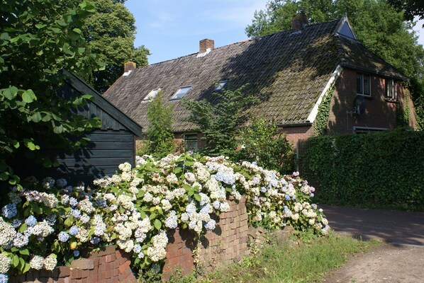 Property grounds - British/Dutch Owned Former Farmhouse (1836) near Picturesque National Parks (Diever)