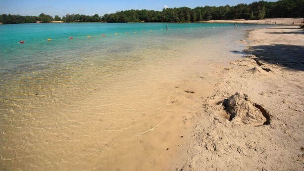 A beach with clear turquoise water, sandy shore, and a forested background. - British/Dutch Owned Former Farmhouse (1836) near Picturesque National Parks (Diever)
