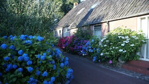 A narrow pathway flanked by lush greenery and flowering bushes, leading to a traditional brick house with a sloped roof. - British/Dutch Owned Former Farmhouse (1836) near Picturesque National Parks (Diever)
