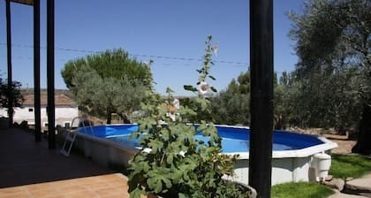 Casa rural (alquiler íntegro) El Olivar del Marqués para 26 personas