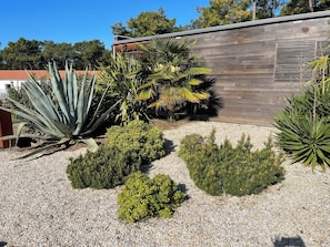 Ein angelegter Garten mit verschiedenen Pflanzen und einem Holzgebäude.